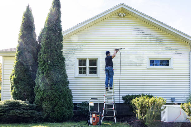 Best Roof Power Washing Services  in Brogden, NC