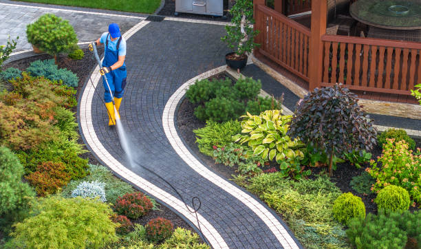 Best Local Pressure Washing Services  in Brogden, NC