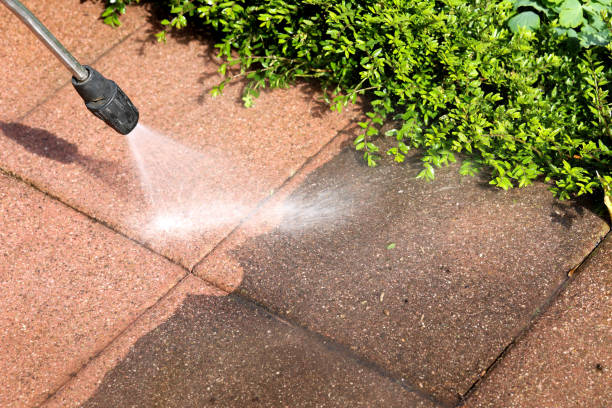 Roof Power Washing Services in Brogden, NC