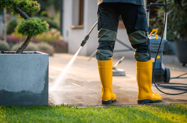 Best Exterior Home Cleaning  in Brogden, NC